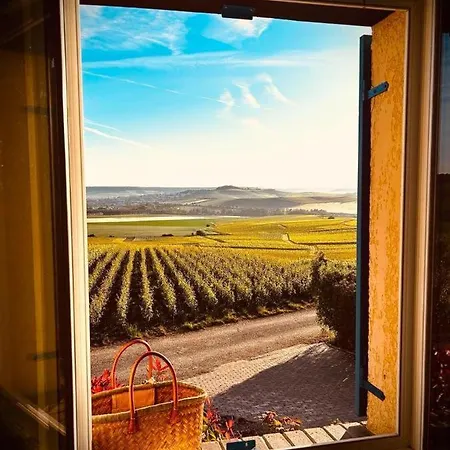 Casa vacanze Entrevignes 6 Personnes Au Coeur Des Vignes De Champagne Chavot-Courcourt