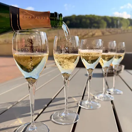 Entrevignes 6 Personnes Au Coeur Des Vignes De Champagne * Chavot-Courcourt